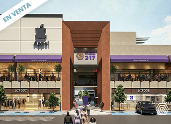 Locales en Distrito Comercial 217